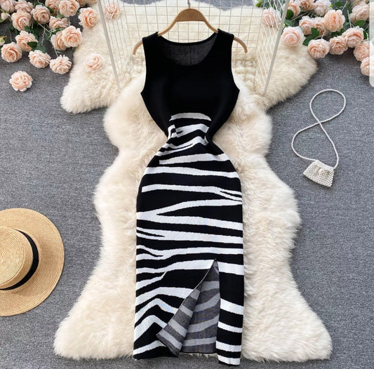 Zebra Dress