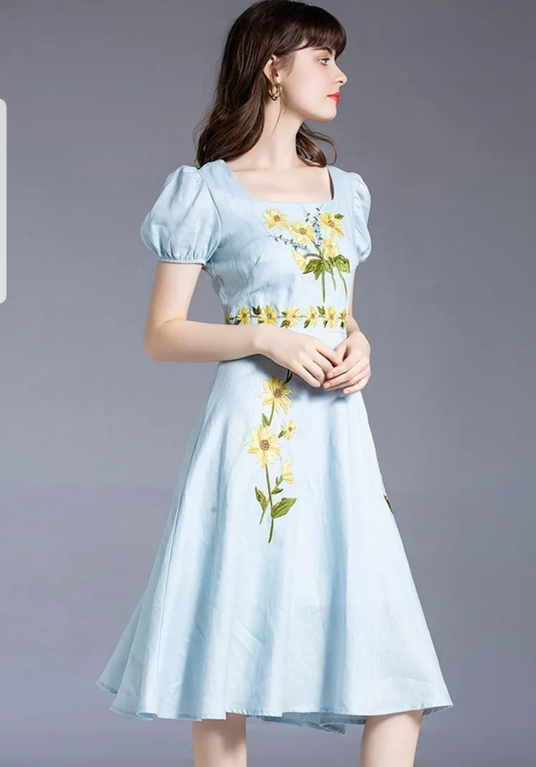 Embroidery Blue Dress