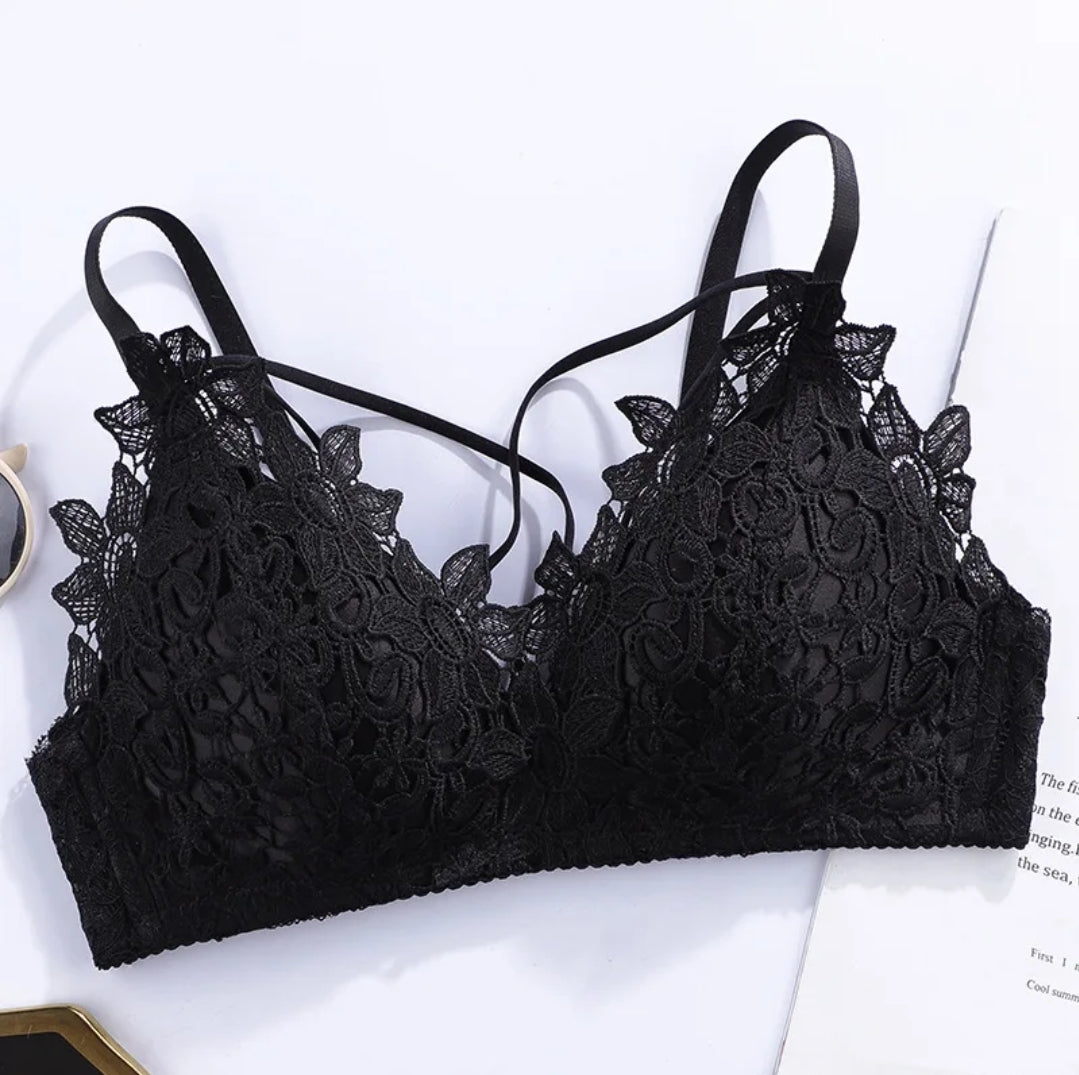 Embroidery Lace Bra